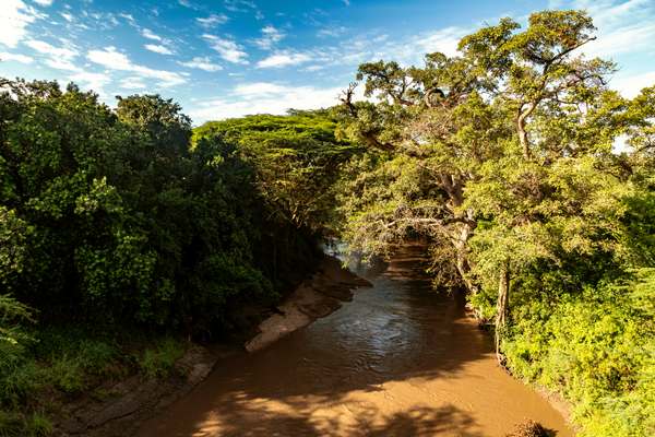 Safari Adventure Package